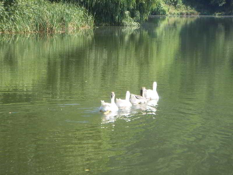 The Lake Villa Smolyan Buitenkant foto